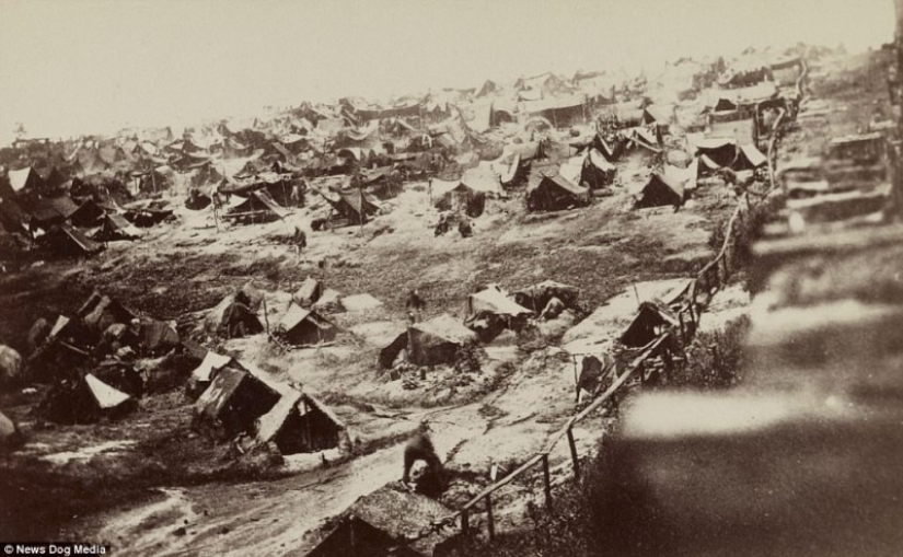 Horribles fotos de víctimas de la guerra más sangrienta de la historia de Estados Unidos Horribles fotos de víctimas de la guerra más sangrienta de la historia de Estados Unidos