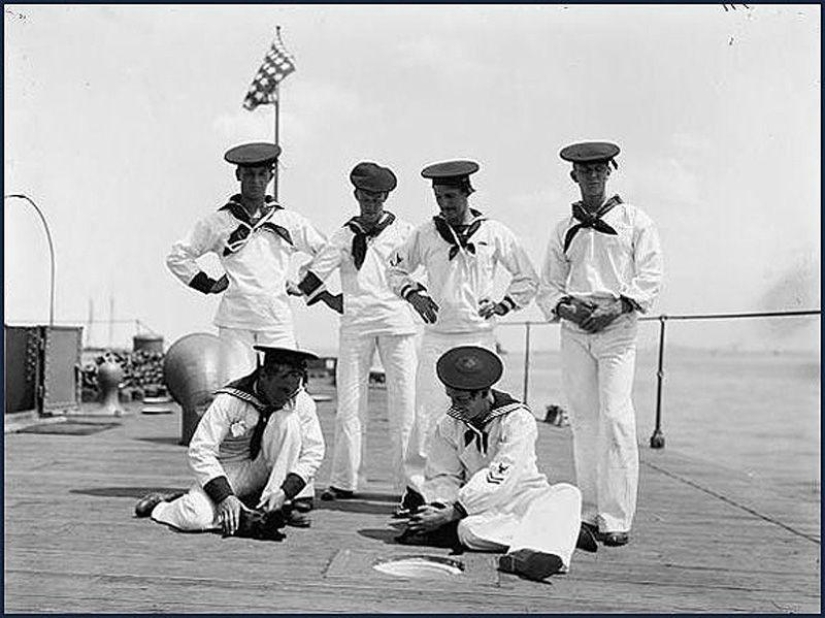 How cats went to sea How cats went to sea