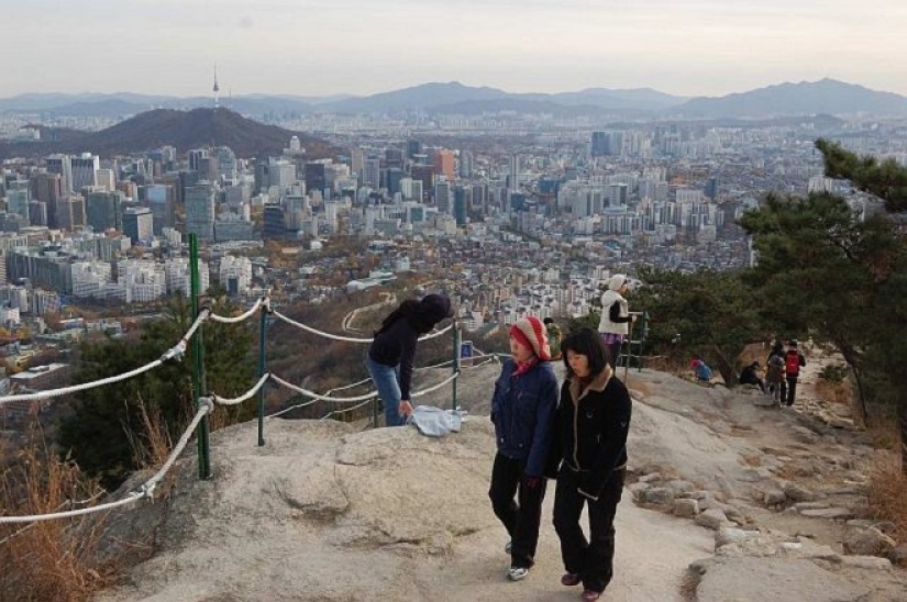 How Koreans take care of their health. It's effective, but a little weird How Koreans take care of their health. It's effective, but a little weird