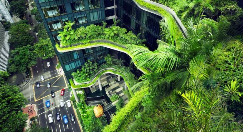 How Singapore became the greenest metropolis on the planet How Singapore became the greenest metropolis on the planet