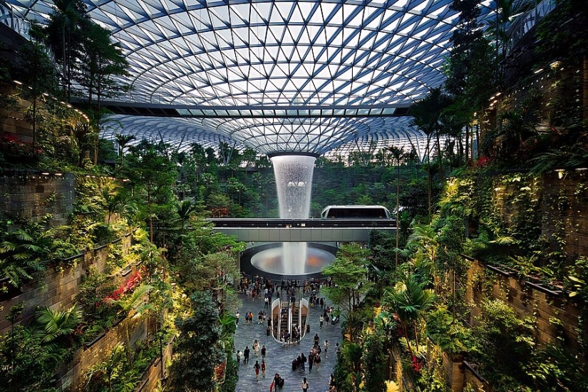 How Singapore became the greenest metropolis on the planet How Singapore became the greenest metropolis on the planet