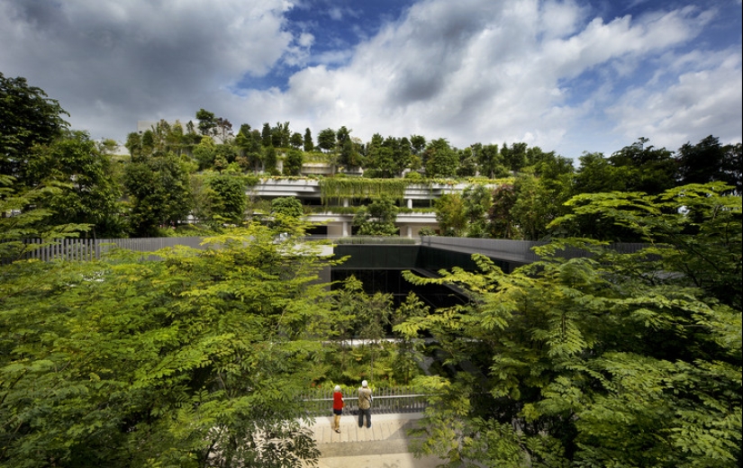 How Singapore became the greenest metropolis on the planet How Singapore became the greenest metropolis on the planet