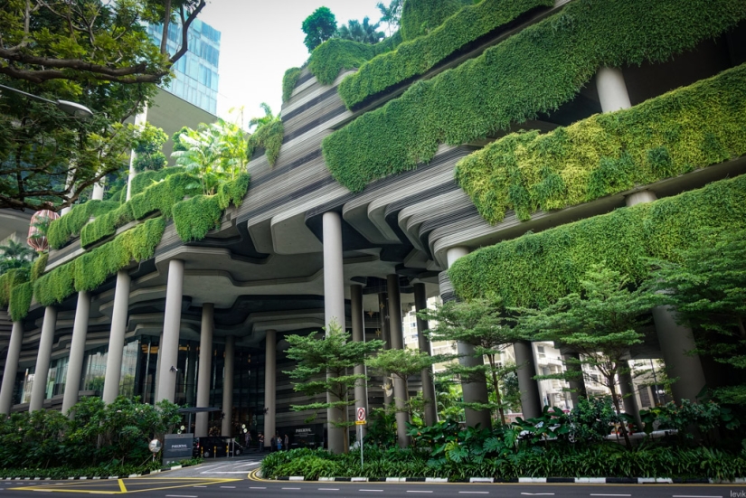 How Singapore became the greenest metropolis on the planet How Singapore became the greenest metropolis on the planet