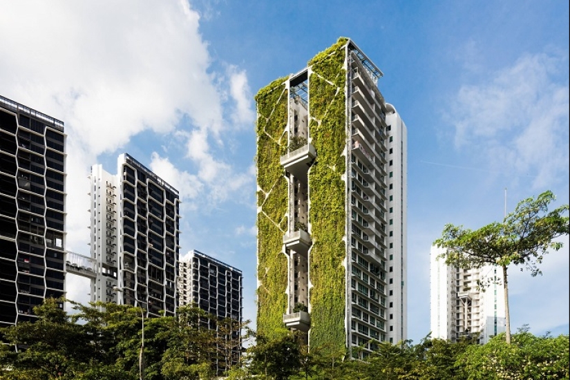 How Singapore became the greenest metropolis on the planet How Singapore became the greenest metropolis on the planet