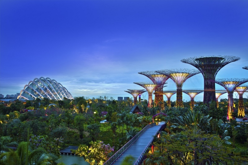 How Singapore became the greenest metropolis on the planet How Singapore became the greenest metropolis on the planet