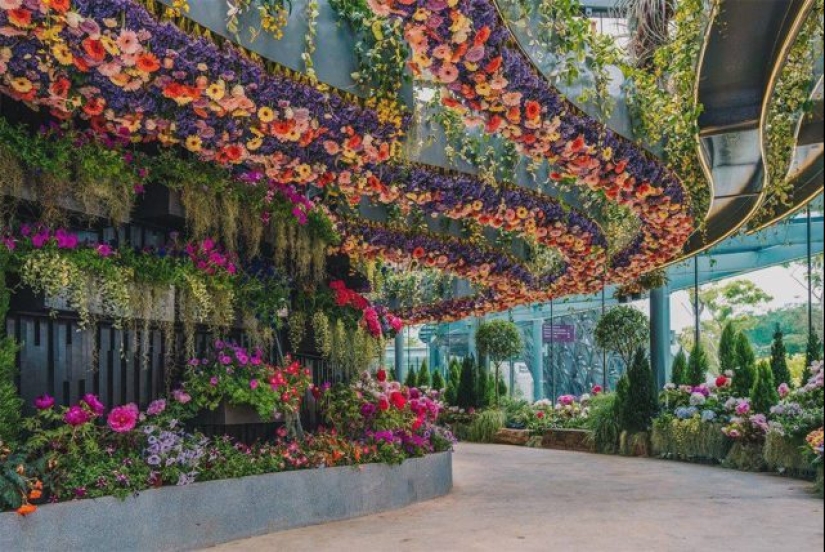 How Singapore became the greenest metropolis on the planet How Singapore became the greenest metropolis on the planet