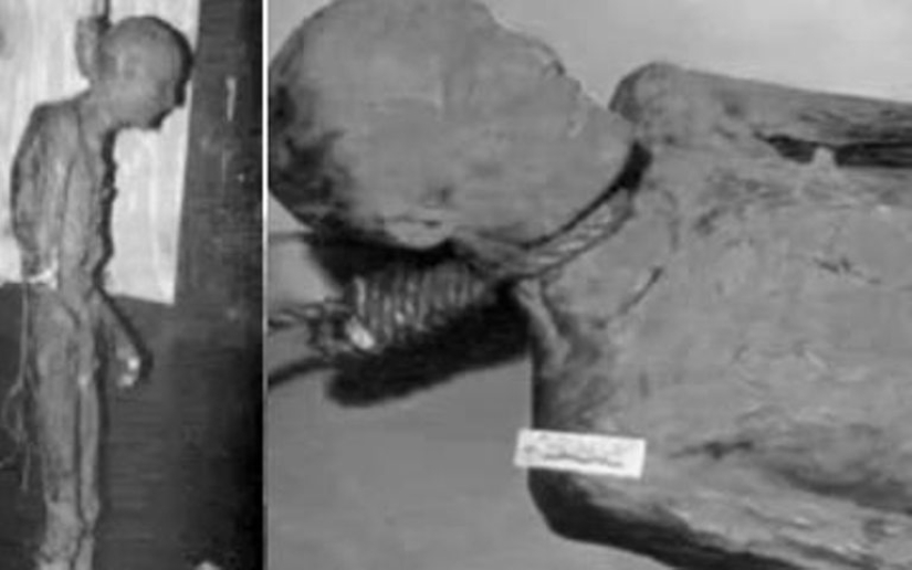 How the corpse of a bandit from the Wild West worked as a scarecrow in a modern amusement park