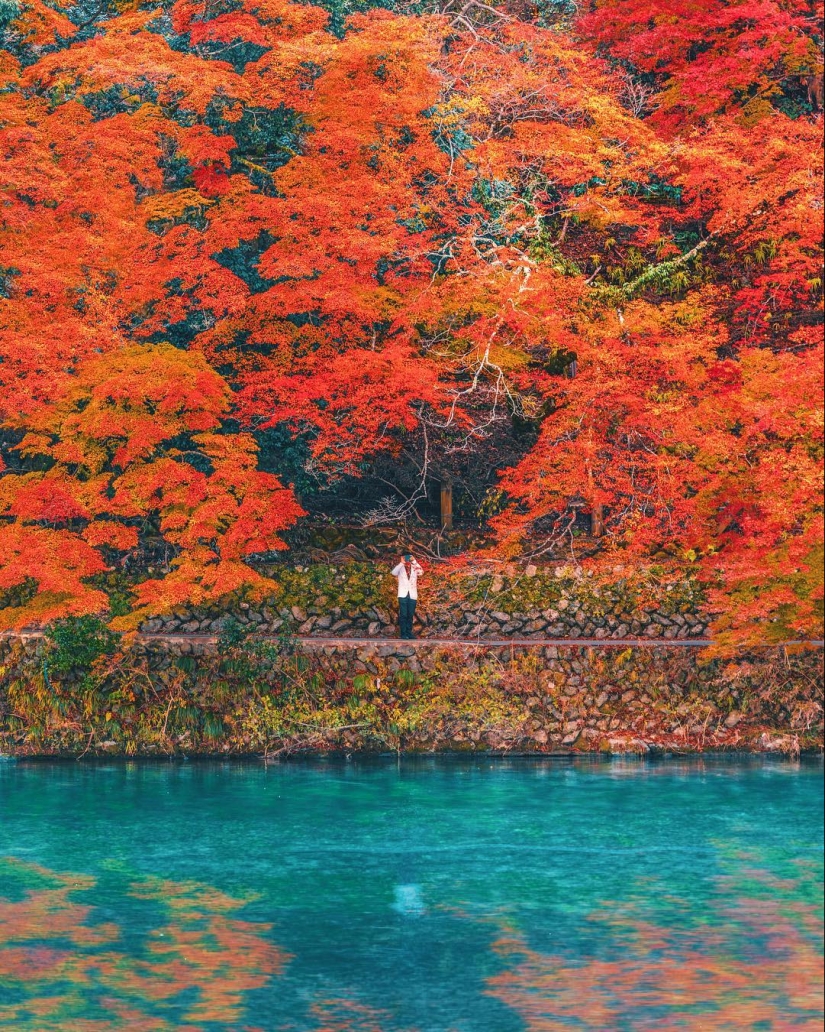 How the heart of Greater Tokyo beats: Bright Japan in photos by Naohiro Yako How the heart of Greater Tokyo beats: Bright Japan in photos by Naohiro Yako