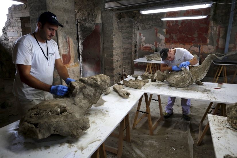 How the inhabitants of Pompeii died How the inhabitants of Pompeii died