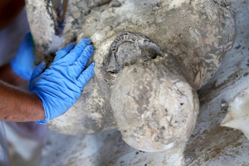 How the inhabitants of Pompeii died How the inhabitants of Pompeii died