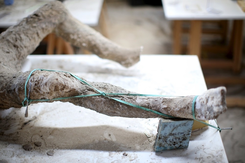 How the inhabitants of Pompeii died How the inhabitants of Pompeii died