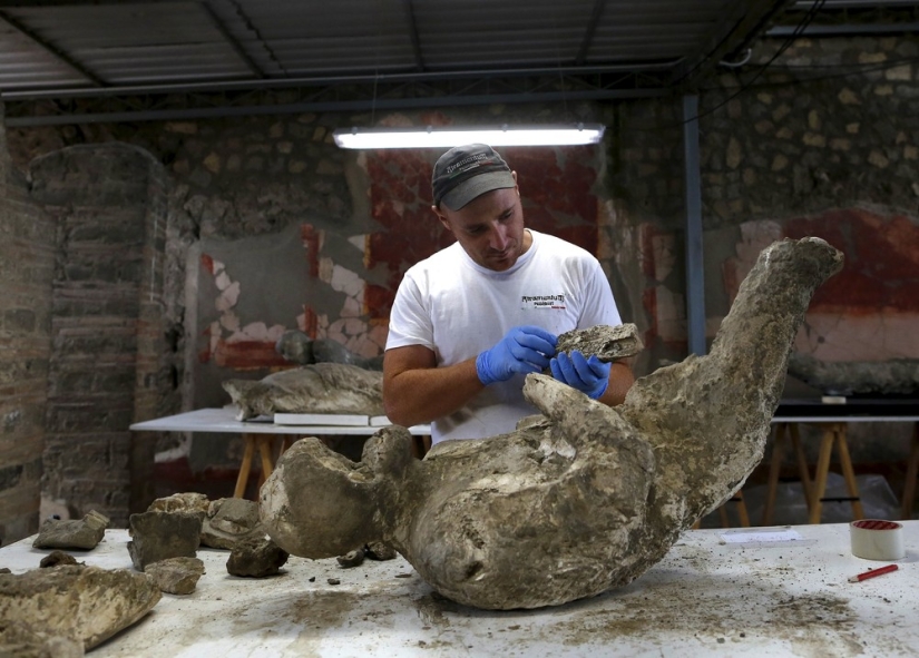 How the inhabitants of Pompeii died How the inhabitants of Pompeii died