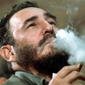 How to make the best Cuban cigars How to make the best Cuban cigars