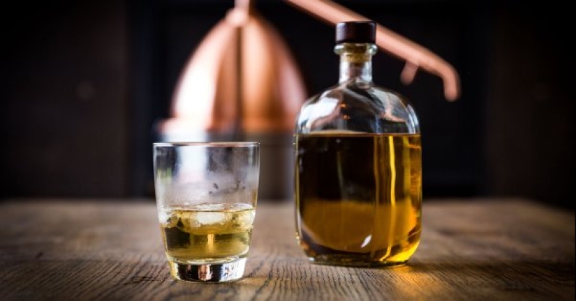 How to make whiskey from moonshine - proportions, recipes and tips How to make whiskey from moonshine - proportions, recipes and tips
