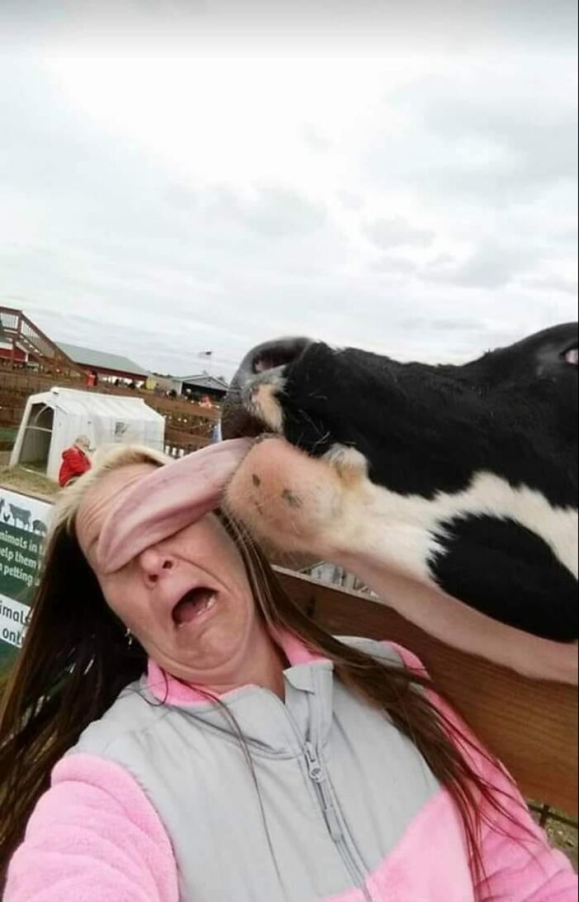 “Humans Doing Human Things”: 10 Photos That Show Just How Strange Our Species Is