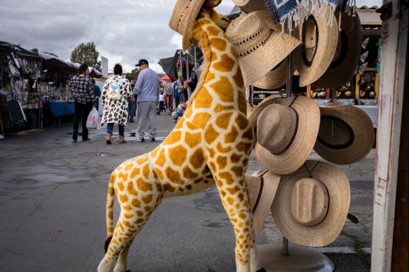 I Captured The Magic Of A Flea Market That’s Vanishing In The Name Of Progress