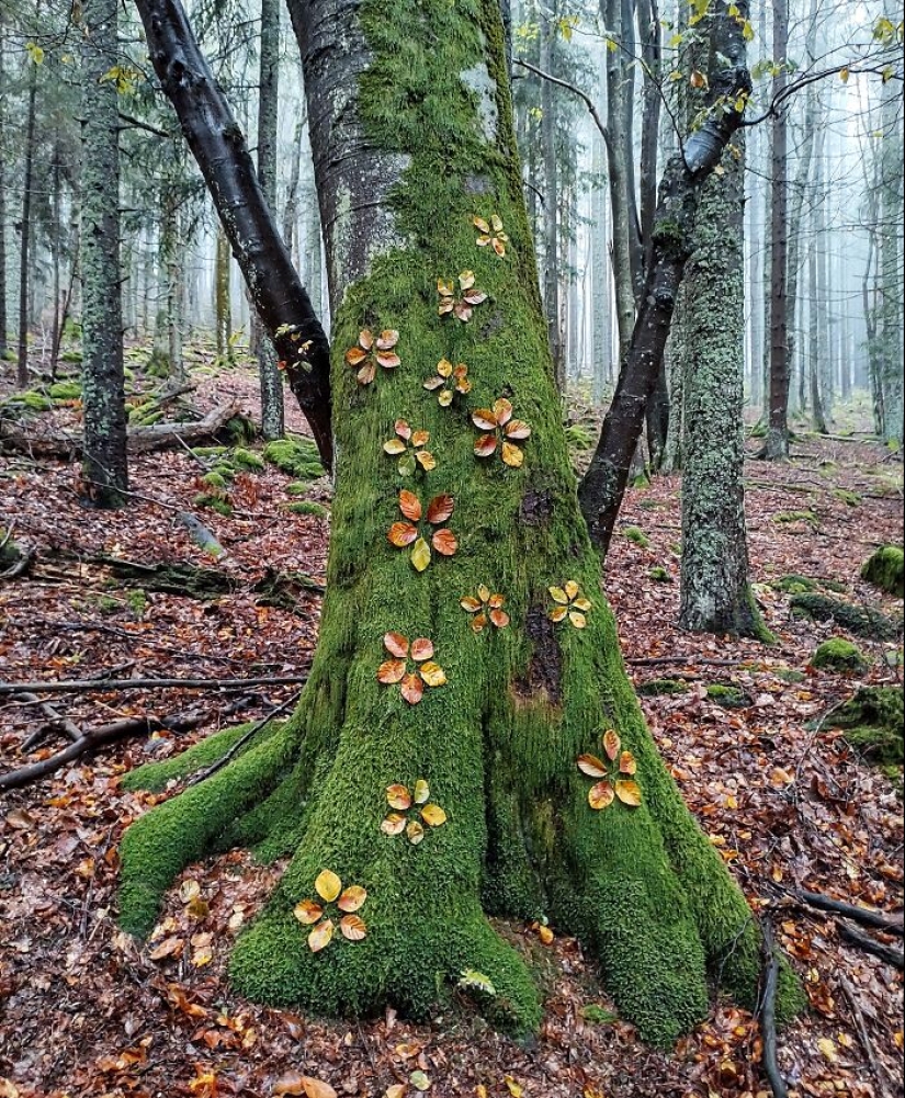 I Create Fleeting Art With Nature’s Gifts I Create Fleeting Art With Nature’s Gifts