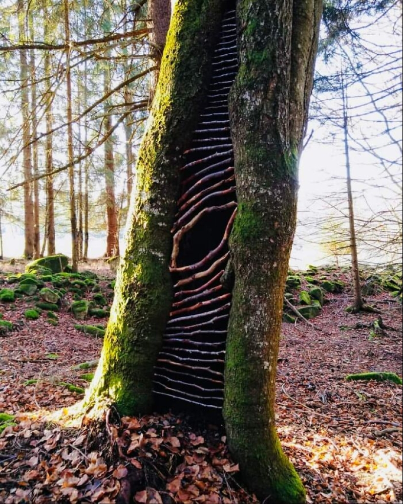 I Create Fleeting Art With Nature’s Gifts I Create Fleeting Art With Nature’s Gifts