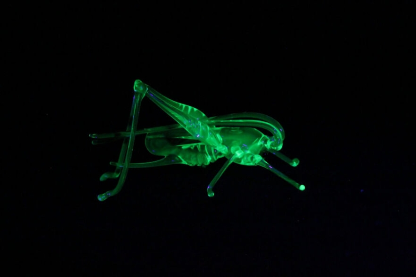 I Made Figurines Out Of Uranium Glass I Made Figurines Out Of Uranium Glass