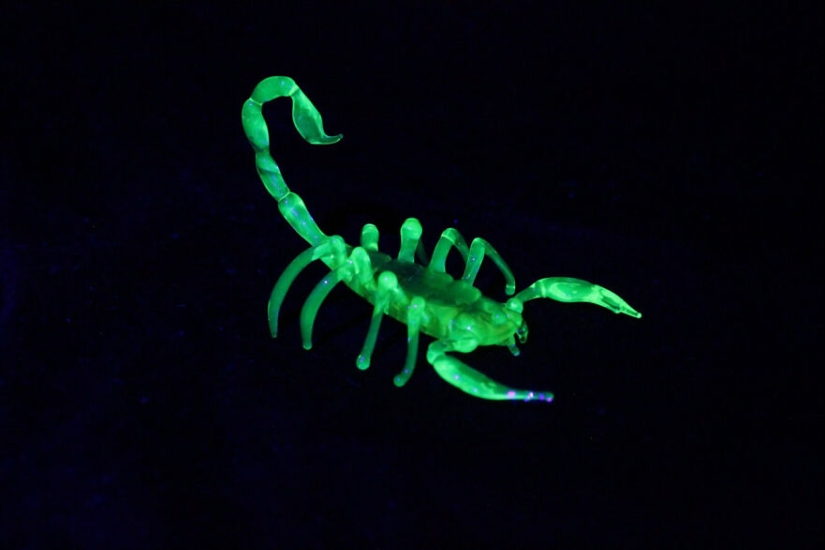 I Made Figurines Out Of Uranium Glass I Made Figurines Out Of Uranium Glass