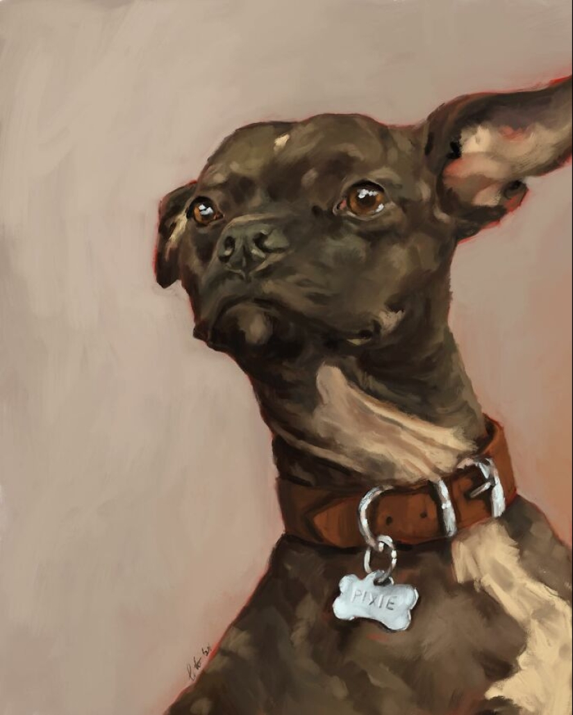 I Make Digital Paintings Of Dogs, Cats, And Other Animals I Make Digital Paintings Of Dogs, Cats, And Other Animals