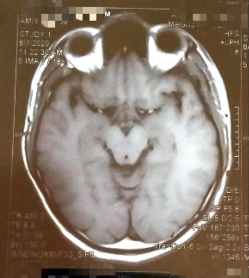 "I see faces": 20+ deceptive photos that you will have to look at twice "I see faces": 20+ deceptive photos that you will have to look at twice