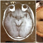 "I see faces": 20+ deceptive photos that you will have to look at twice "I see faces": 20+ deceptive photos that you will have to look at twice
