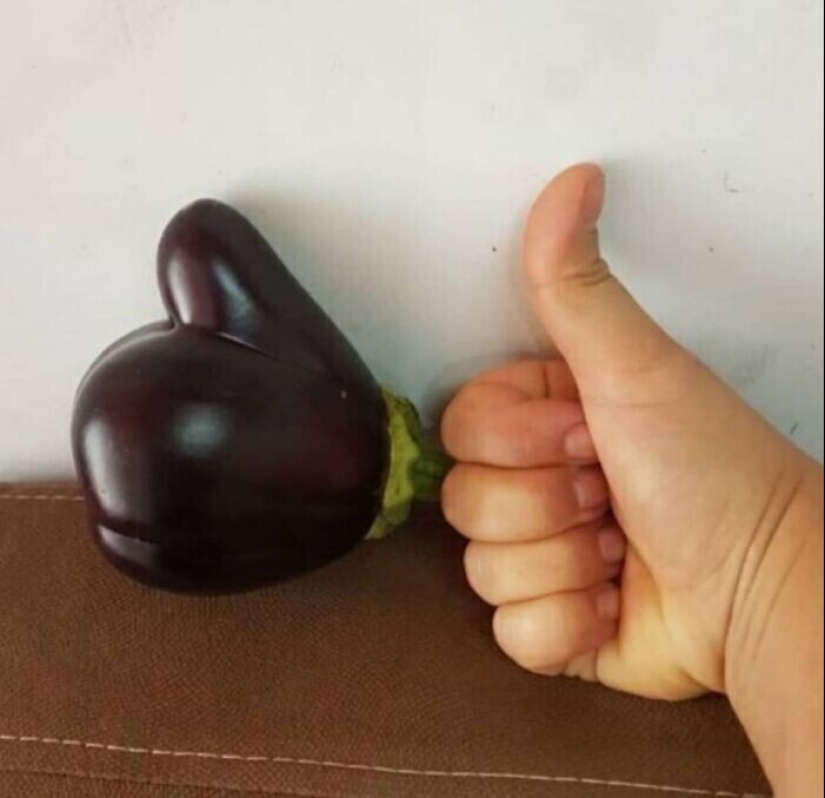 "I see faces": 20+ deceptive photos that you will have to look at twice "I see faces": 20+ deceptive photos that you will have to look at twice