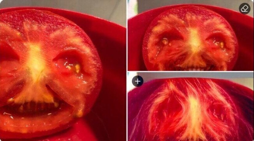 "I see faces": 20+ deceptive photos that you will have to look at twice "I see faces": 20+ deceptive photos that you will have to look at twice