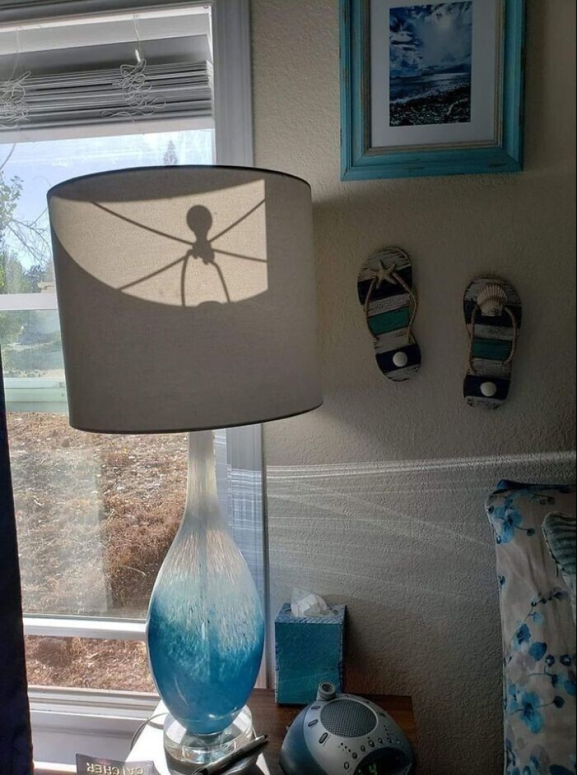 "I see faces": 20+ deceptive photos that you will have to look at twice "I see faces": 20+ deceptive photos that you will have to look at twice