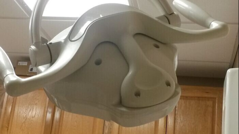 "I see faces": 20+ deceptive photos that you will have to look at twice "I see faces": 20+ deceptive photos that you will have to look at twice