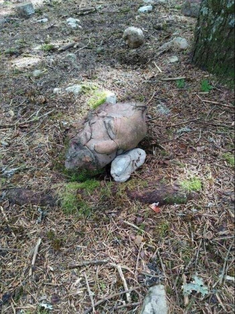 "I see faces": 20+ deceptive photos that you will have to look at twice "I see faces": 20+ deceptive photos that you will have to look at twice