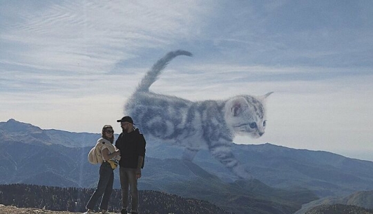 If Cats Were Giants: Artist Explores Surreal Concept By Creating Realistic-Looking Images If Cats Were Giants: Artist Explores Surreal Concept By Creating Realistic-Looking Images
