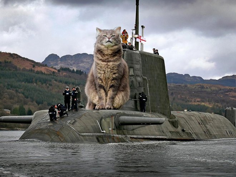 If the seals decided to conquer the world If the seals decided to conquer the world