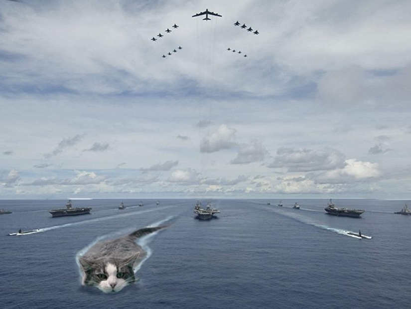If the seals decided to conquer the world If the seals decided to conquer the world
