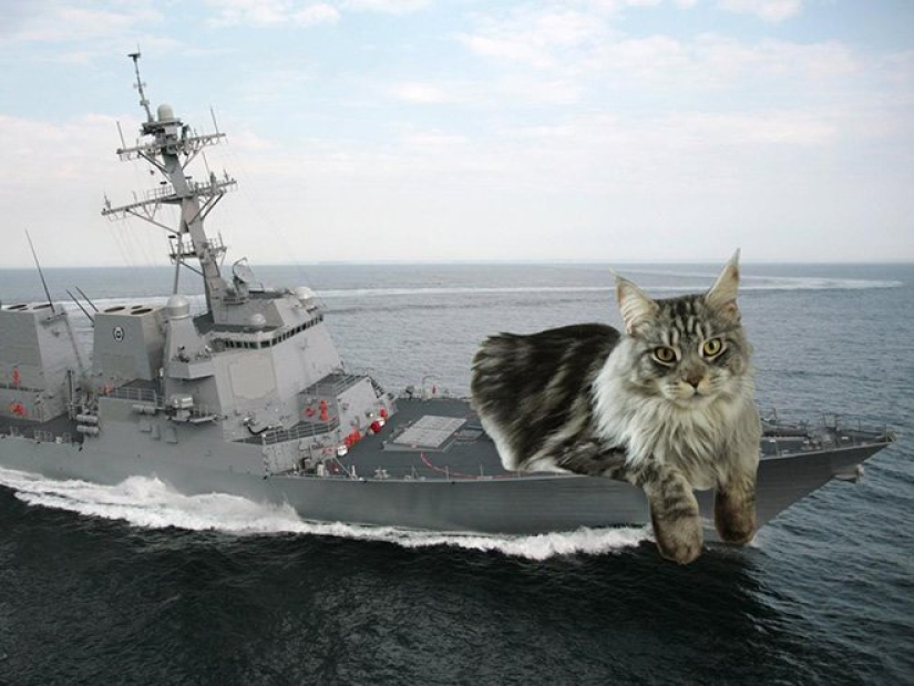 If the seals decided to conquer the world If the seals decided to conquer the world