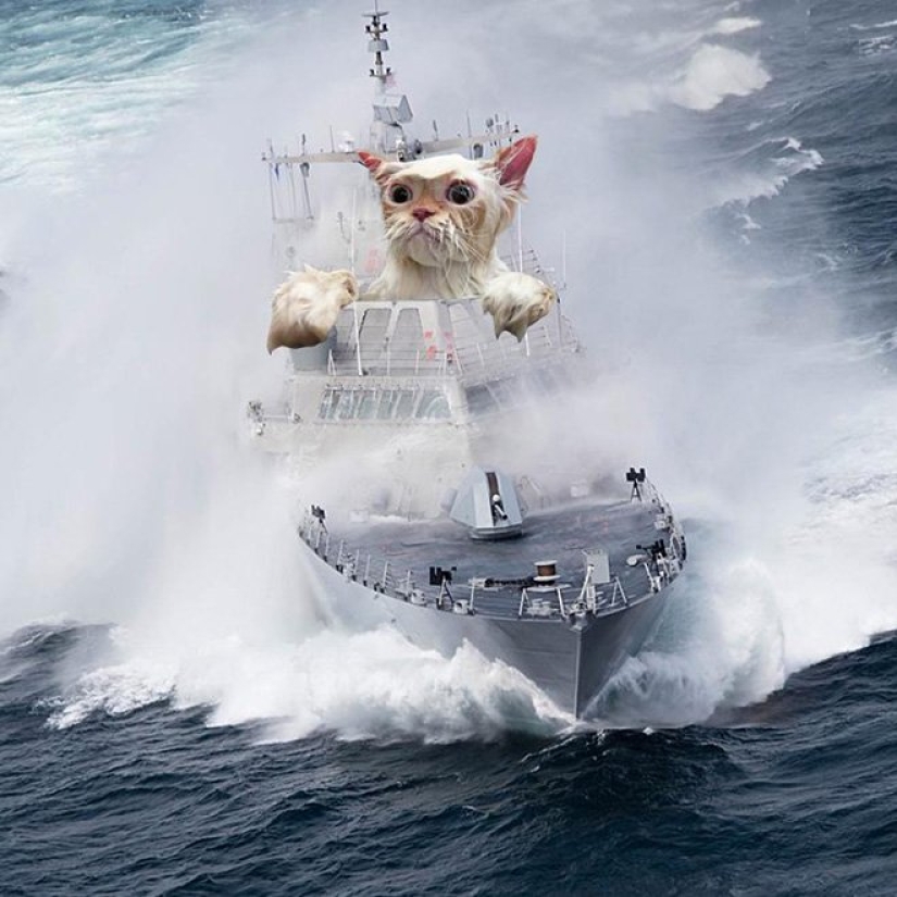 If the seals decided to conquer the world If the seals decided to conquer the world