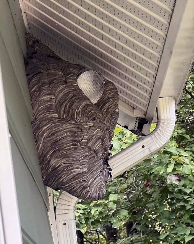 If You Think You’re Having A Terrible Day, These People Beg To Differ
