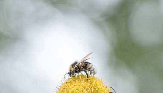 I’m A Macro Photographer, Focusing On The Small Things That Usually Go Unnoticed I’m A Macro Photographer, Focusing On The Small Things That Usually Go Unnoticed