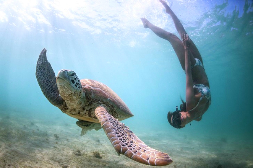 Incredible freediving in the wild