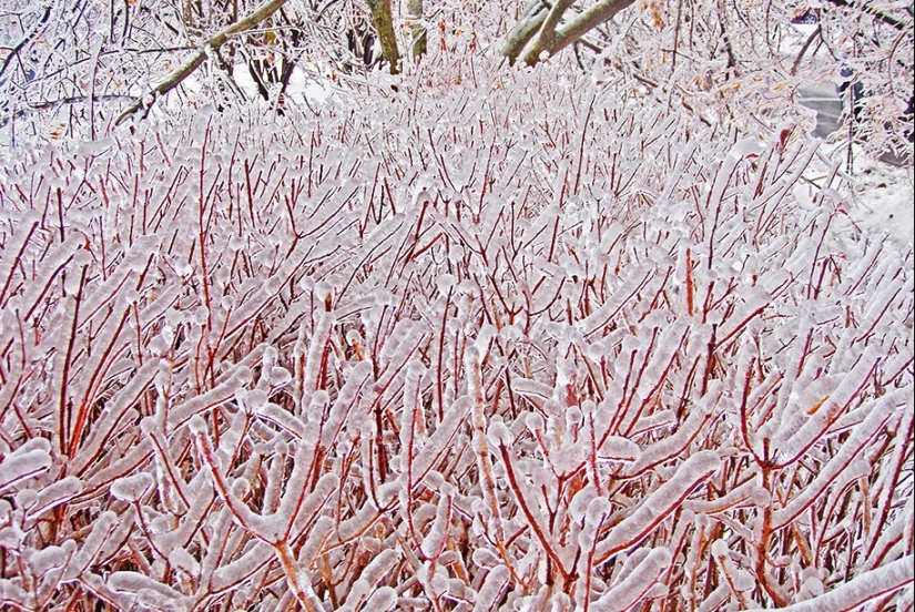 Inspiración de hielo - 23 fotos de interesantes formaciones de hielo Inspiración de hielo - 23 fotos de interesantes formaciones de hielo
