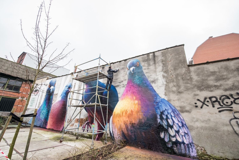 Kurls-kurls? Street Artist Super A and his Giant Pigeons