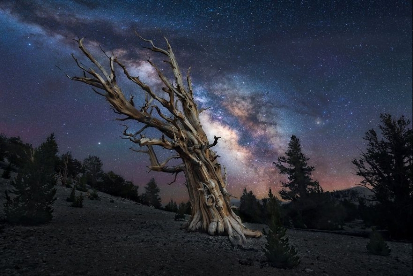 La belleza del cielo estrellado en las fotos de Marcin Hare