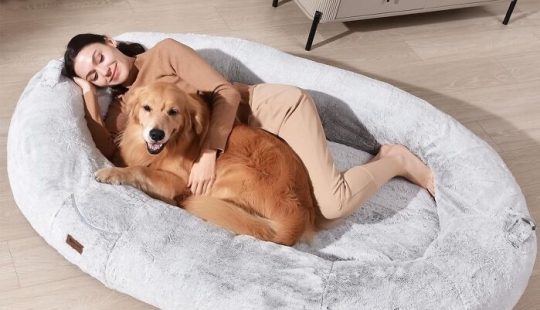 La gente de todas partes canta las alabanzas de estos 13 que cada hogar encuentra