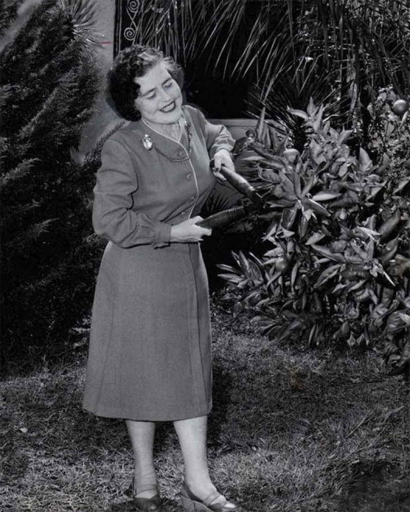 La historia de la tenaz artista de circo Dolly Dimples, que se hizo famosa por ganar peso primero y luego perderlo.