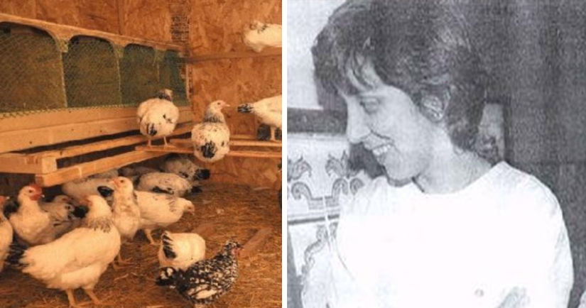 La historia de una "chica gallina" portuguesa que creció en un gallinero