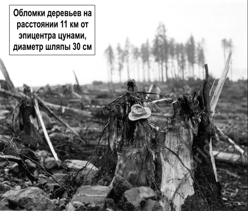 La ola de tsunami más alta jamás registrada