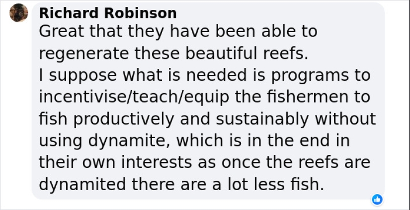 La recuperación total de un arrecife de coral sin vida en 4 años, según un estudio La recuperación total de un arrecife de coral sin vida en 4 años, según un estudio