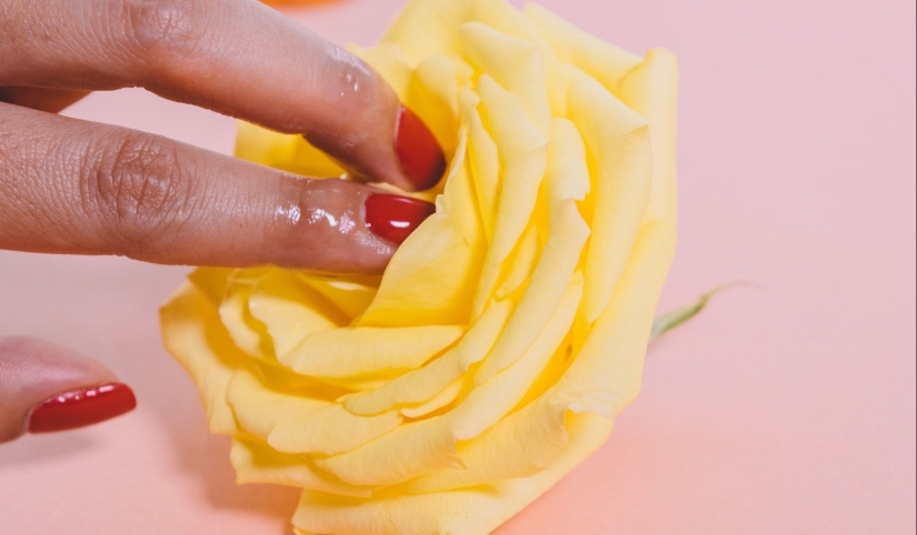 La vulva y la vagina no son lo mismo + 8 más datos sobre el órgano genital femenino