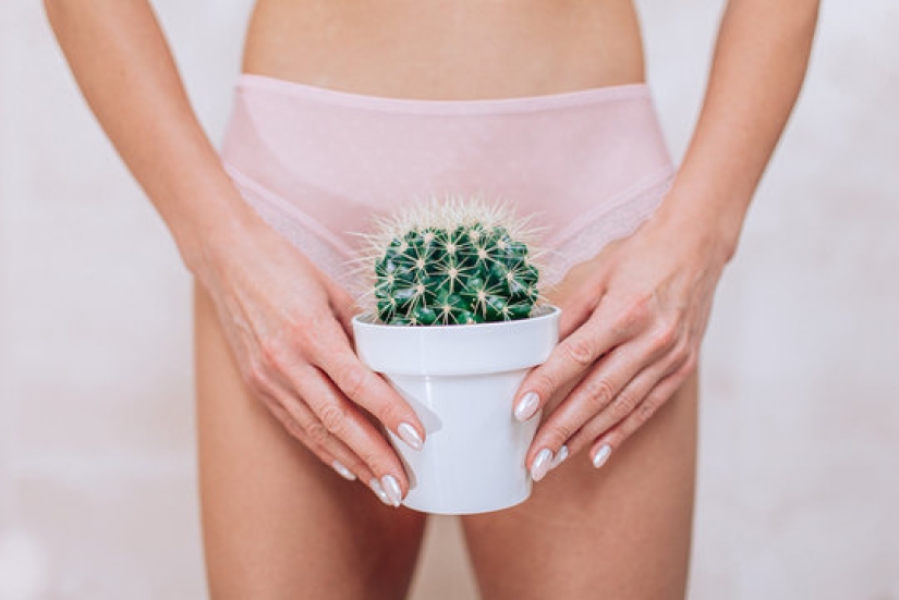 La vulva y la vagina no son lo mismo + 8 más datos sobre el órgano genital femenino